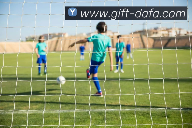 多媒体互动体验